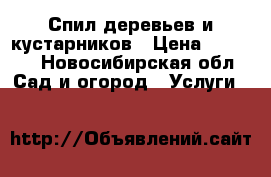 Спил деревьев и кустарников › Цена ­ 1 000 - Новосибирская обл. Сад и огород » Услуги   